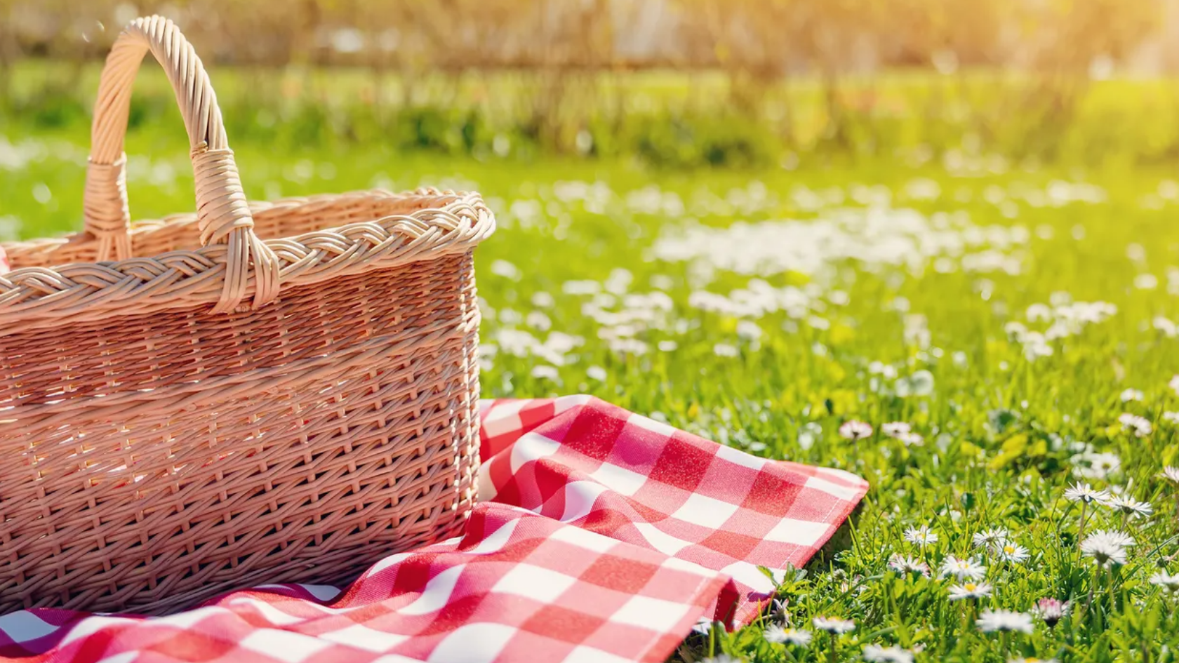 July Market Commentary – A Disinflationary Trend Re-emerges main image