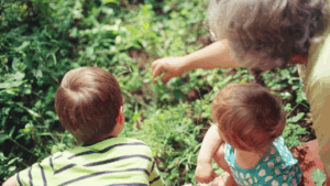 Estate Planning: The Essential Instruments