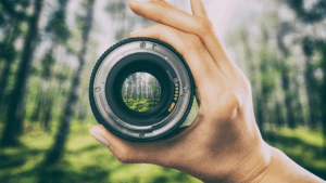 Asset Location: A Tax Lens on Retirement Investing