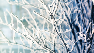 January Market Commentary: Regime Change