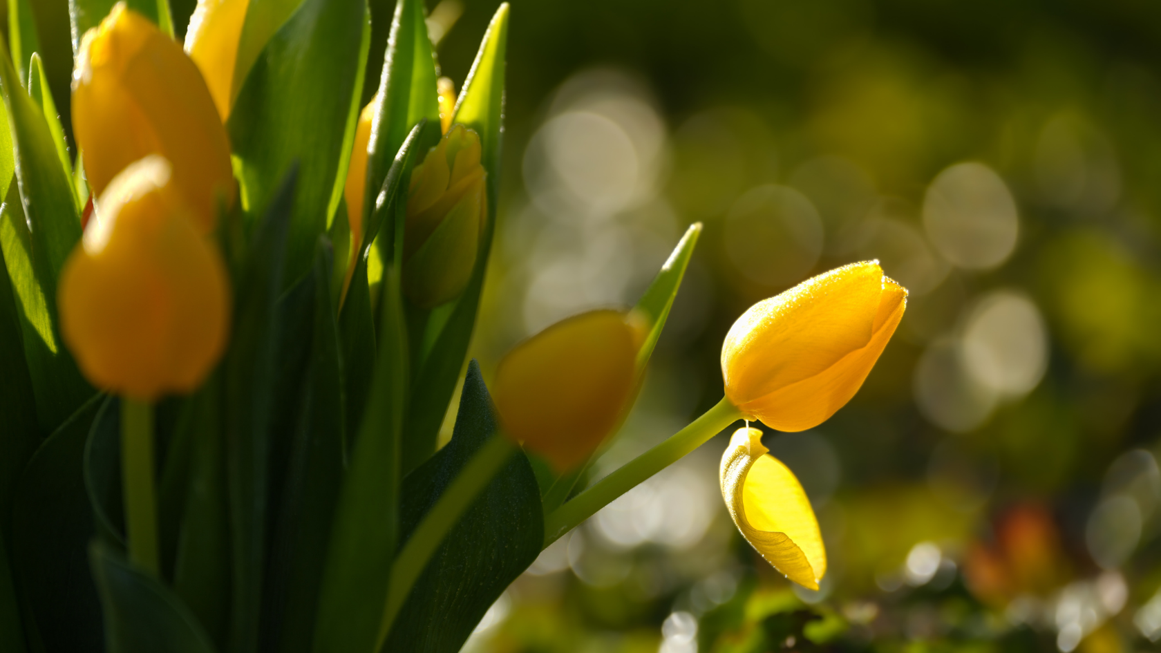 April Market Commentary – Markets Are Up, Consumers Are Down main image