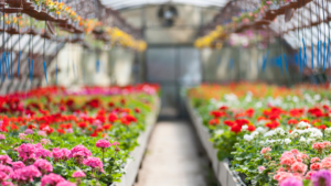 May Market Commentary – A New Fed Chairman Takes the Helm