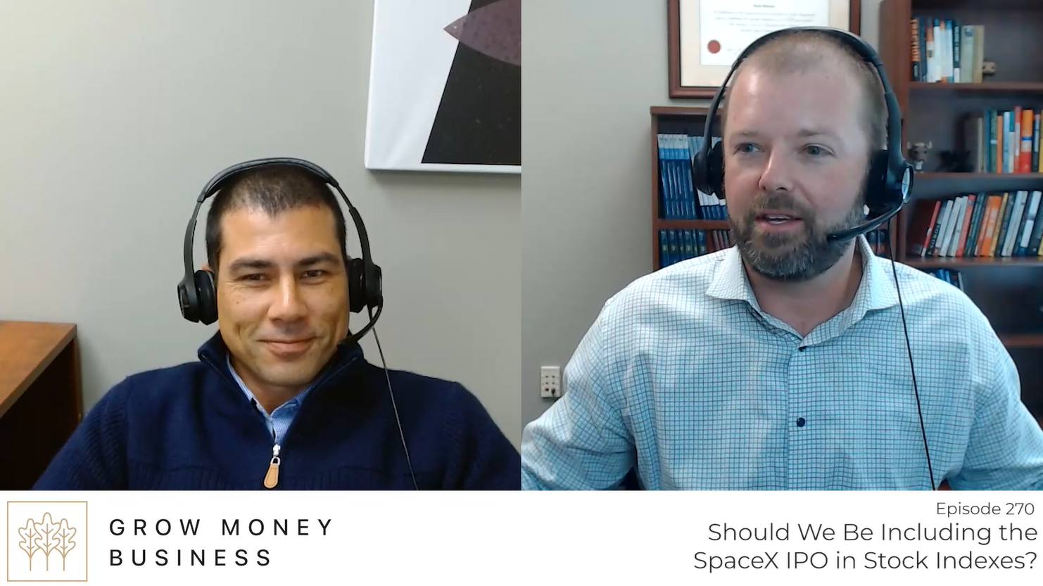 Should We Be Including the SpaceX IPO in Stock Indexes? l Ep 270