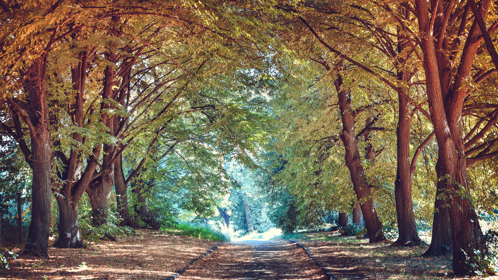 September 2026 Market Commentary – Stocks Rebound, The Test Waits main image